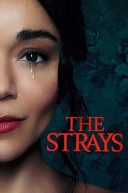 فيلم The Strays 2023 مترجم