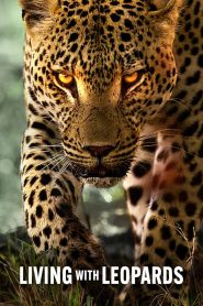 فيلم Living with Leopards 2024 مترجم