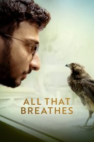 فيلم All That Breathes 2022 مترجم