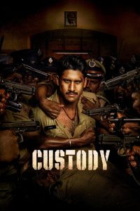 فيلم Custody 2023 مترجم