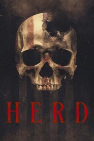 فيلم Herd 2023 مترجم