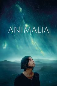 فيلم Animalia 2023 مترجم