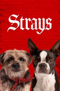 فيلم Strays 2023 مترجم