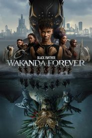 فيلم Black Panther: Wakanda Forever 2022 مترجم