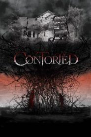 فيلم Contorted 2022 مترجم