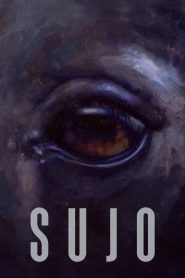 فيلم Sujo 2024 مترجم