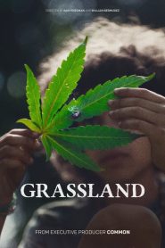 فيلم Grassland 2024 مترجم