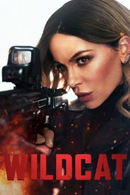 فيلم Wildcat 2025 مترجم